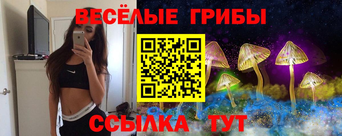 Псилоцибиновые грибы GOLDEN TEACHER  Вход с VPN  Обнинск 